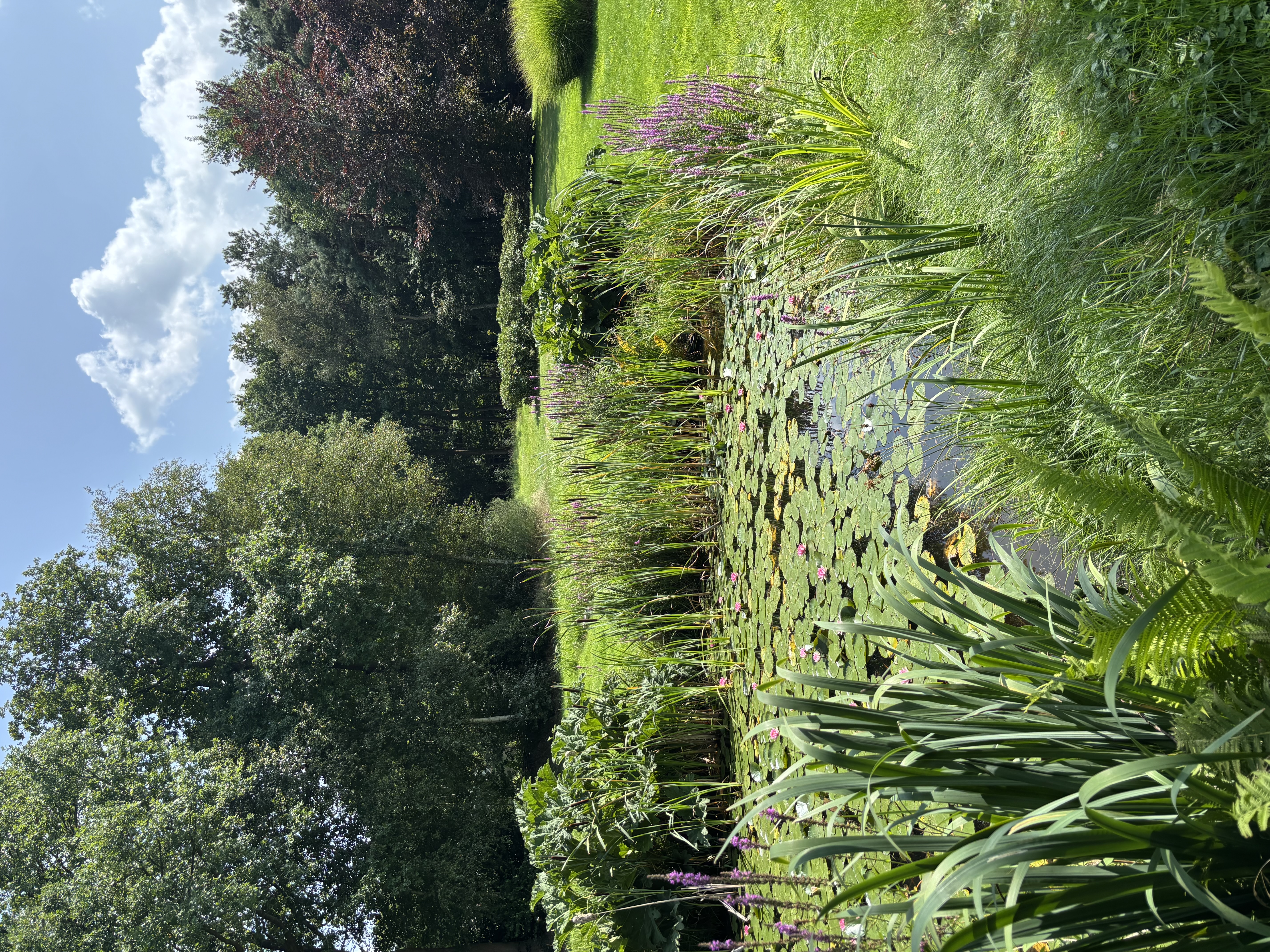 Teamcoaching met paarden