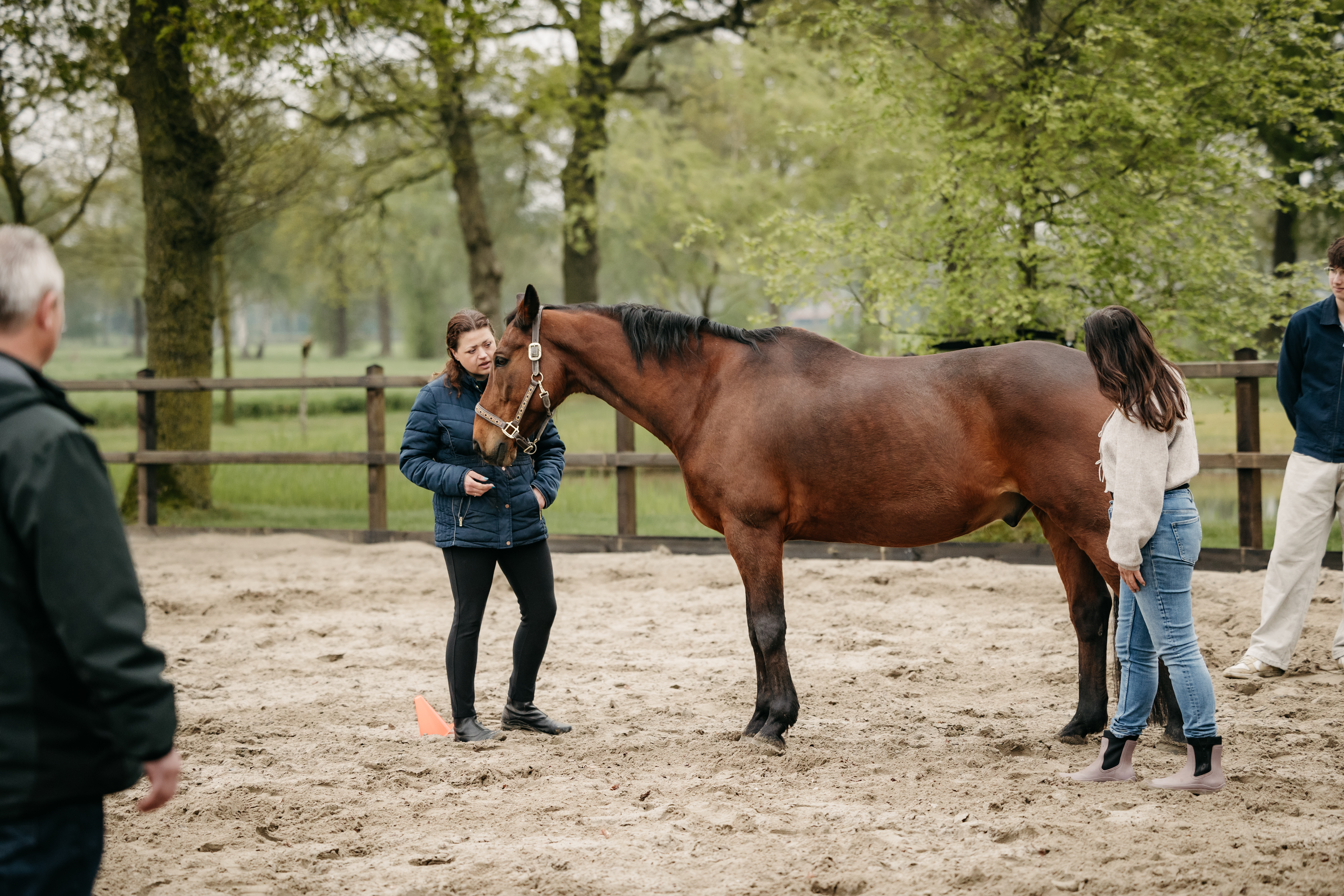 paardencoaching sessie